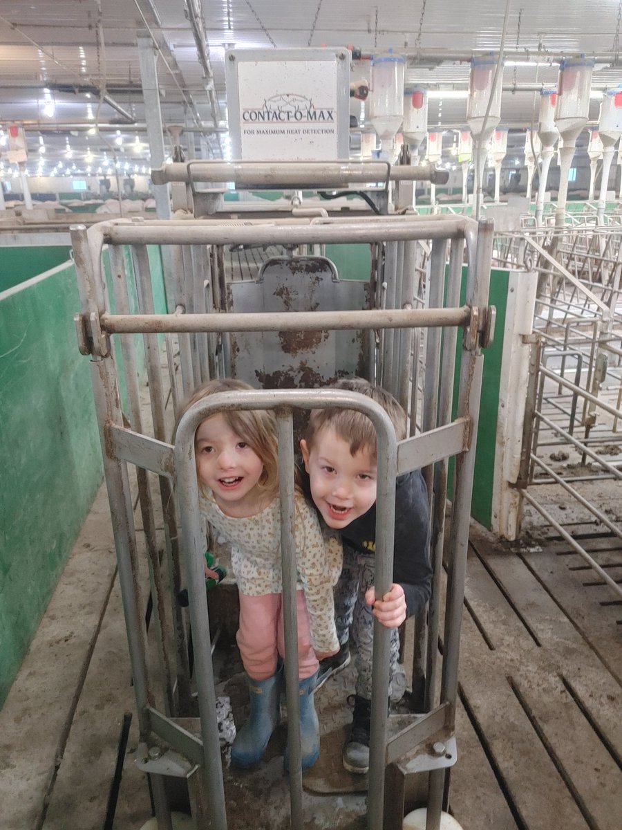 Training a few junior boars this morning.