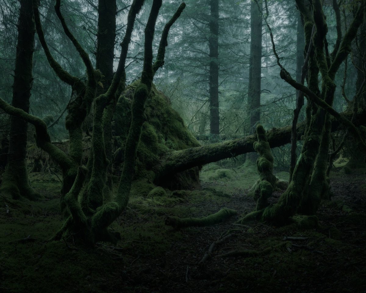Thou shall not pass
#landscapephotography #fujifilm #fuji