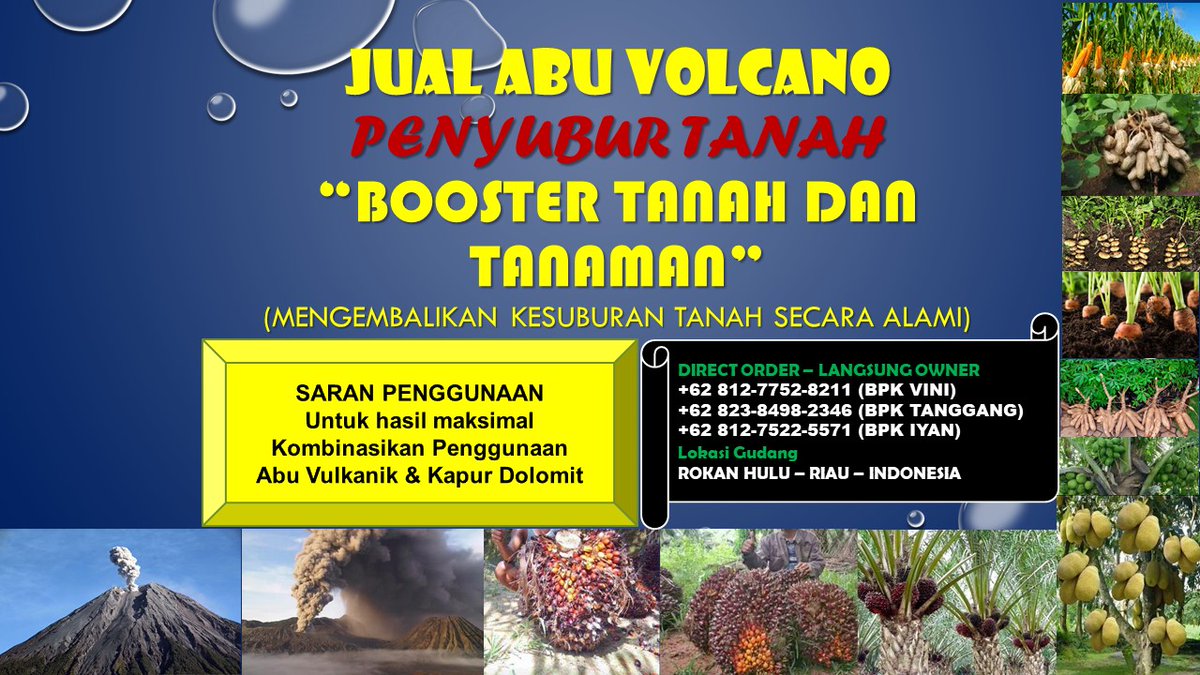 0812-7752-8211 Produsen Pupuk Sawit Abu Vulcanik (Pembenah Tanah ORIGINAL) di Rokan Hulu Riau
pembenah-tanah-original.blogspot.com/2022/03/0812-7…

#rohul, #rokanhulu, #riau, #pupuksawit, #pembenahtanah, #pembenahtanahsawit, #jualabuvulkanik, #abuvolcano, #abuvulkanik, #rabuk, #pupuk,  #pupukorganik, #sawit