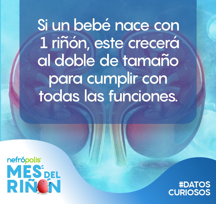 ¿Qué te pareció esta información ? ¿Ya la conocías?💙

#DatosCuriosos #Sabíasque  #ERC #EnfermedadCronicoRenal #Nefropolis #Riñones #Nefropolis #SaludRenal #FarmaciaEspecializada #PrevenciónRenal #Nefronas