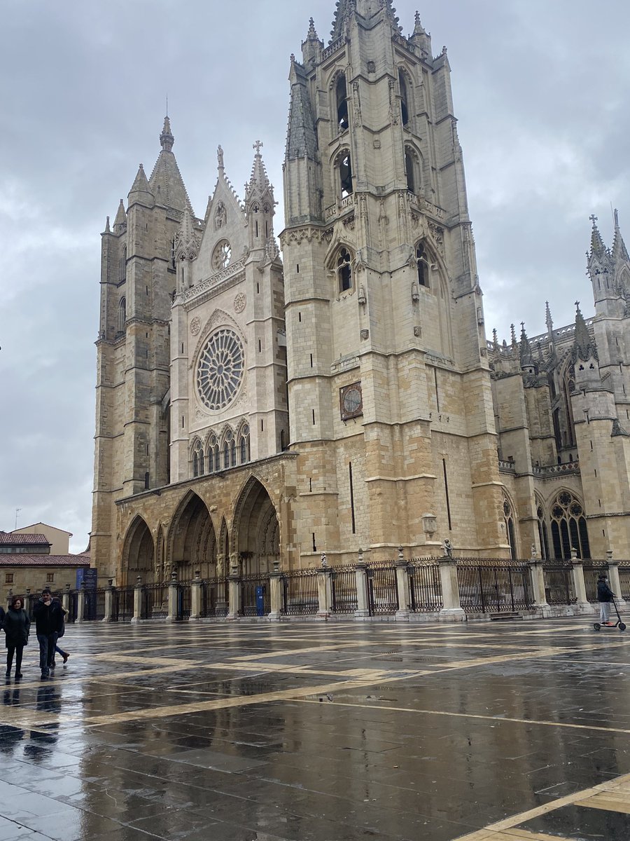 luisaagonz's tweet photo. León❤️ https://t.co/NuYT8rz3XU