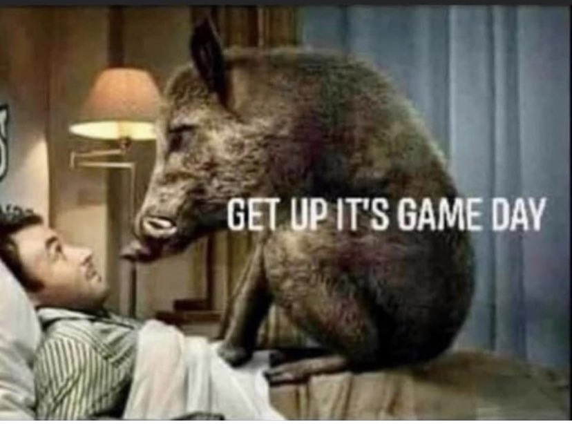 RazorbackPride1's tweet photo. WPS Baby!!!! #WinThisThing https://t.co/ojCVoUENFg
