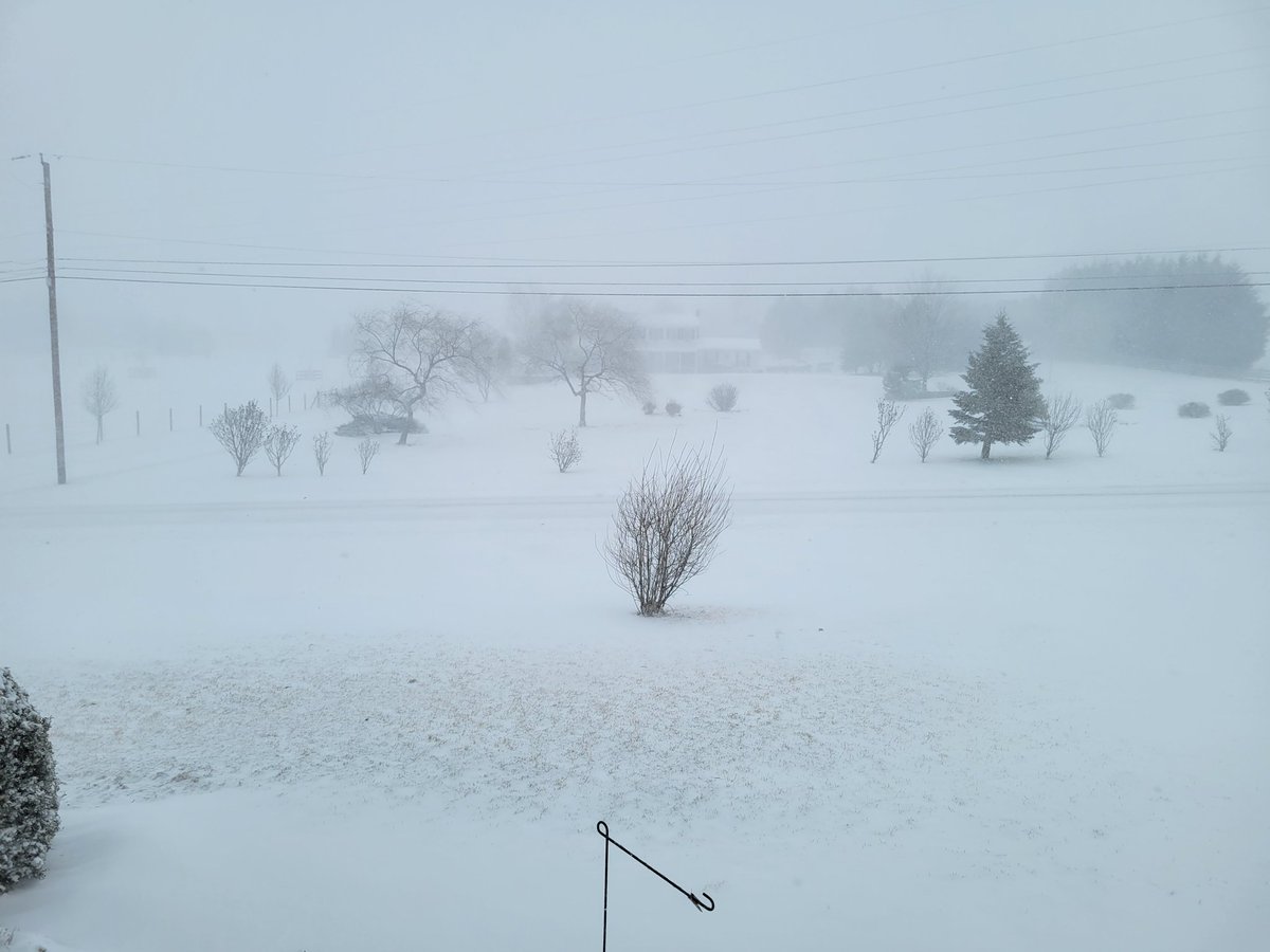 KAllabach's tweet photo. Apparently decorating for spring last weekend didn't make winter go away. Blizzard like conditions today, while kids wore shorts early in the weekπ€¦ββοΈ
#WelcomeToPA #GoAwayWinter https://t.co/S6siv6EbJy
