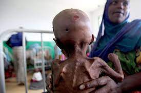 An all jene, die in diesen Tagen ständig das Wort 'Solidarität' im Munde führen: 
Was habt ihr eigentlich gegen diese humanitären Katastrophen unternommen...?