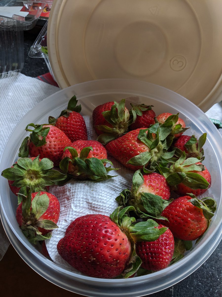 stopwasteorg's tweet photo. Now is a great time to try out some of our food storage tips to make your fresh food stay fresher longer. Store berries layered in a sealed container with paper towels to absorb moisture. https://t.co/VdMoMzLXZC https://t.co/CEilz5pC6T
