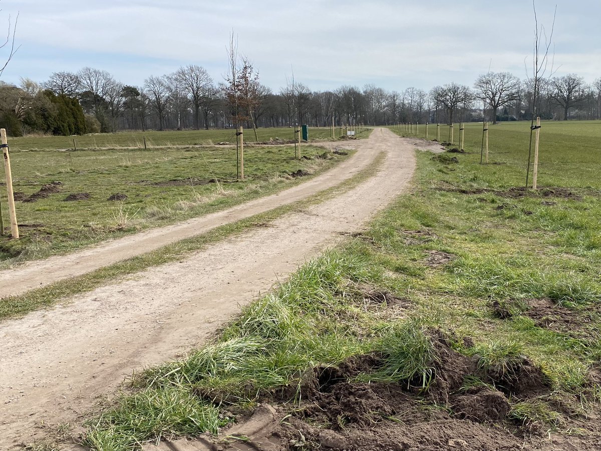 Ervenplatform's tweet photo. #HeerlijkheidLinde krijgt vorm. Heerlijk om samen met Sanne en Christian de lindelaan en fruitgaard te planten! Een prachtig initiatief. Wij tekenden vanuit @HetOversticht in opdracht van hen en @IJssellandschap aan het #landschapsplan en #erfplan. Nu samen de schop in de grond! https://t.co/WyJT6wlsoc