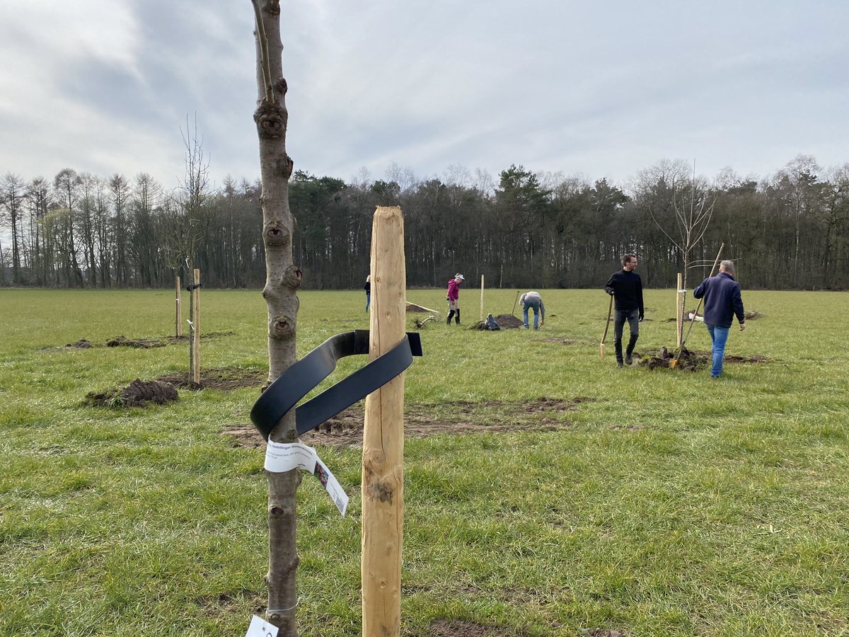 Ervenplatform's tweet photo. #HeerlijkheidLinde krijgt vorm. Heerlijk om samen met Sanne en Christian de lindelaan en fruitgaard te planten! Een prachtig initiatief. Wij tekenden vanuit @HetOversticht in opdracht van hen en @IJssellandschap aan het #landschapsplan en #erfplan. Nu samen de schop in de grond! https://t.co/WyJT6wlsoc