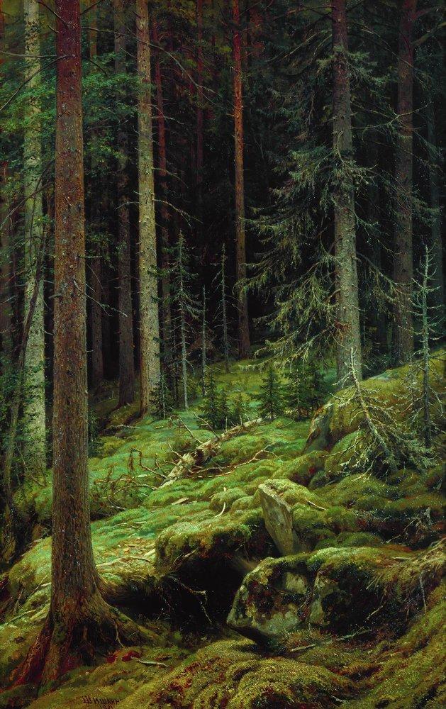 artistshishkin's tweet photo. Thickets, 1881 #shishkin #realism https://t.co/JxPs9Y2MUF