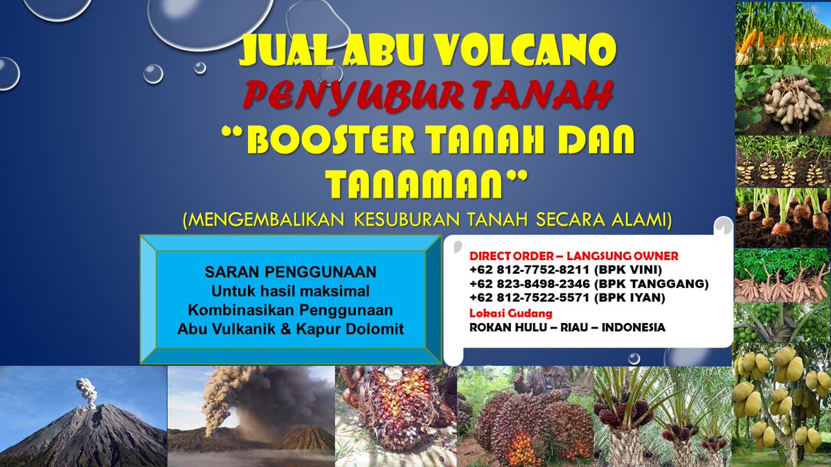 0812-7752-8211 Pabrik Pupuk Sawit Abu Vulcanik (Pembenah Tanah ORIGINAL) di Rokan Hulu Riau pembenahtanah-original.blogspot.com/2022/03/0812-7… 

#rohul, #rokanhulu, #riau, #pupuksawit, #pembenahtanah, #pembenahtanahsawit, #jualabuvulkanik, #abuvolcano, #abuvulkanik, #rabuk, #pupuk,  #pupukorganik, #sawit
