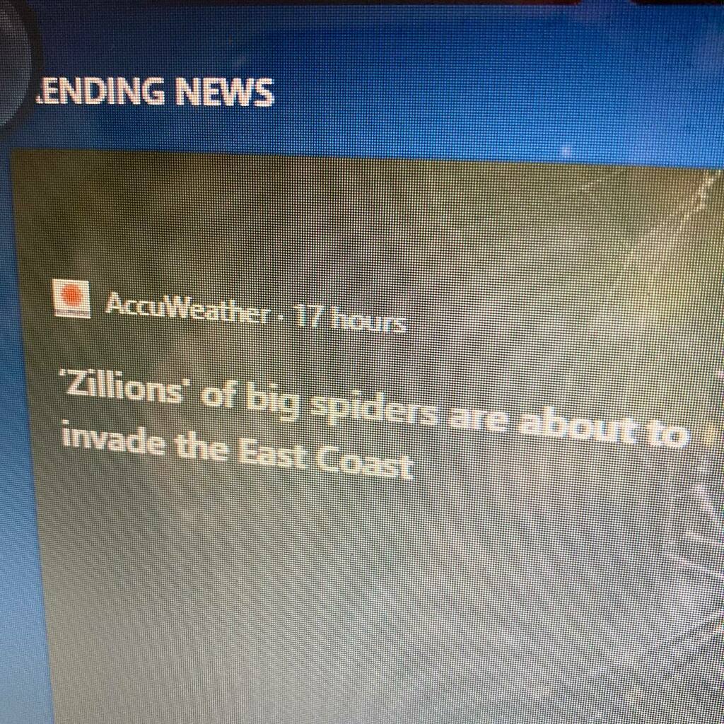 JodyCalkins's tweet image. What a headline! Sure makes you wonder about the details, doesn’t it? 🙃

#writerfun #headlines #writingfodder #authorlife #funwithwords instagr.am/p/CbAjAJ6LSBh/