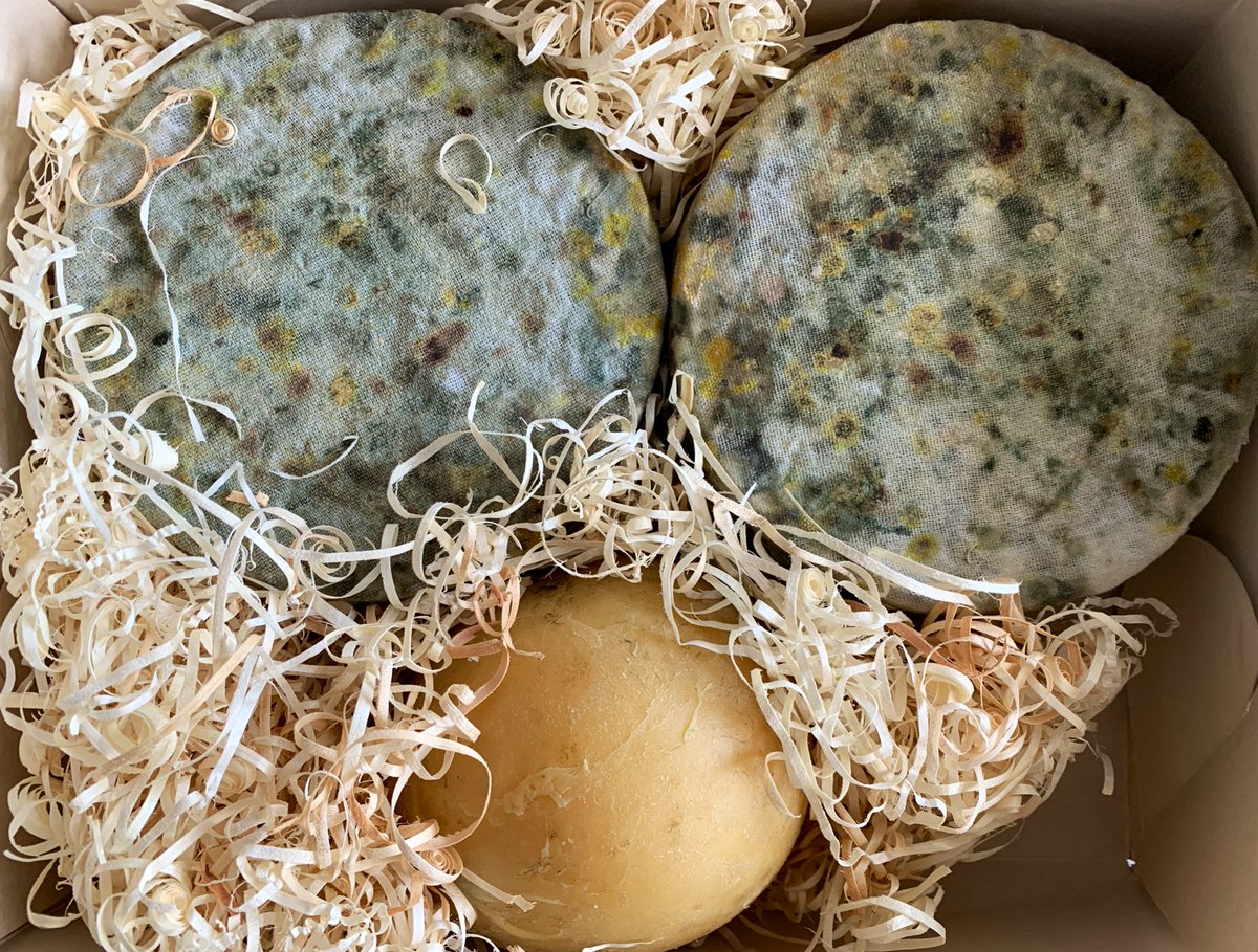 NicoMaiztegui's tweet photo. Hoy es un gran día III
Seguimos con esta locura de disfrutar lo que hacen los emprendedores. El sabor. El aroma. El color. La textura. Nada se compara a esto. Todo fermentación  natural. Cheddar (el de verdad). Tomme. Provola. Compra a emprendedores
Genialidad de @qsosdelmercader https://t.co/5P2JIr0k9B