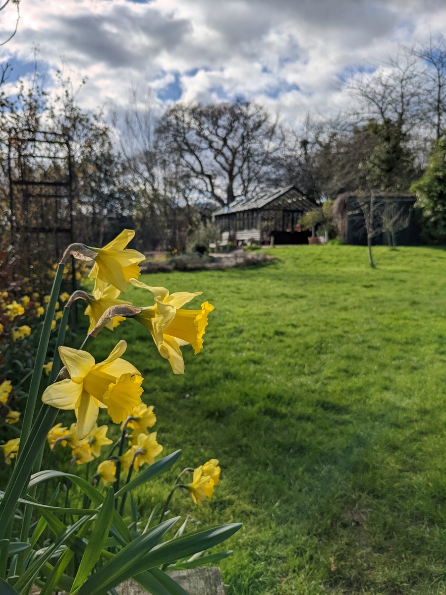 tritchayne's tweet photo. We're so pleased to see the arrival of Springtime at Tritchayne Farm Cottages after what has felt like a long winter. East Devon is looking stunning at the moment. We have good availability in March so why not book a last-minute holiday to see for yourself!
#eastdevon #spring https://t.co/fW6XqQQNGf