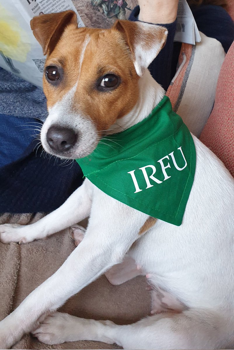 Somebody's getting very excited about the game. Good luck Ireland🤞🏉🇨🇮🐾☘<a href="/IrishRugby/">Irish Rugby</a> <a href="/SixNationsRugby/">Guinness Men's Six Nations</a> #ENGvsIRE