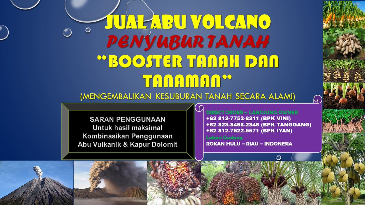 0812-7752-8211 Pusat Produksi Pupuk Sawit Abu Vulcanik (Pembenah Tanah ORIGINAL) di Rokan Hulu Riau  pembenah-tanahoriginal.blogspot.com/2022/03/0812-7… 

#rohul, #rokanhulu, #riau, #pupuksawit, #pembenahtanah, #pembenahtanahsawit, #jualabuvulkanik, #abuvolcano, #abuvulkanik, #rabuk, #pupuk,  #pupukorganik