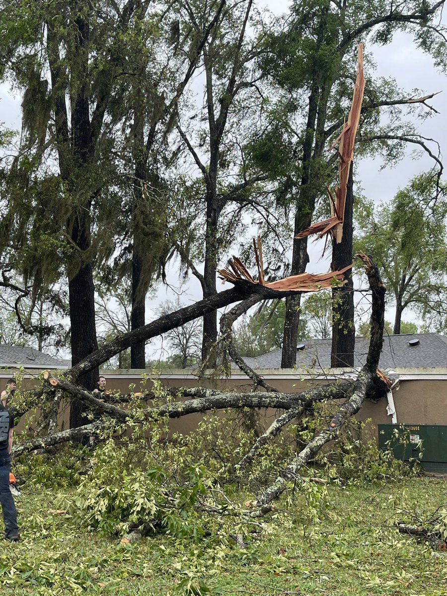 AnikaHopeTV's tweet photo. The Deer Path Estates community in Ocala is cleaning up after neighbors told us it felt tornado-like winds blasted through. https://t.co/bdLUQCWx2O