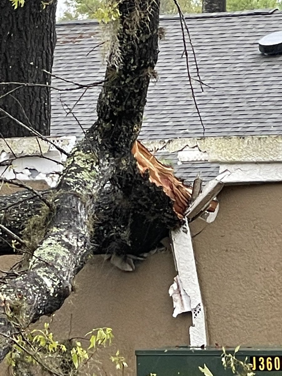 AnikaHopeTV's tweet photo. The Deer Path Estates community in Ocala is cleaning up after neighbors told us it felt tornado-like winds blasted through. https://t.co/bdLUQCWx2O