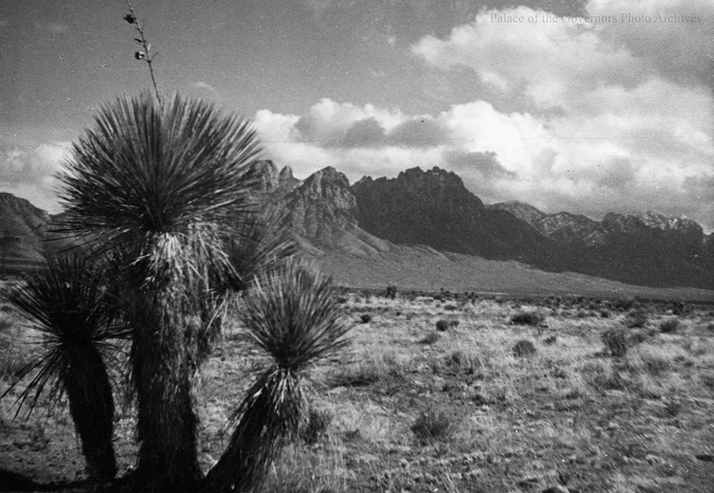 POG Photo Archives tweet media