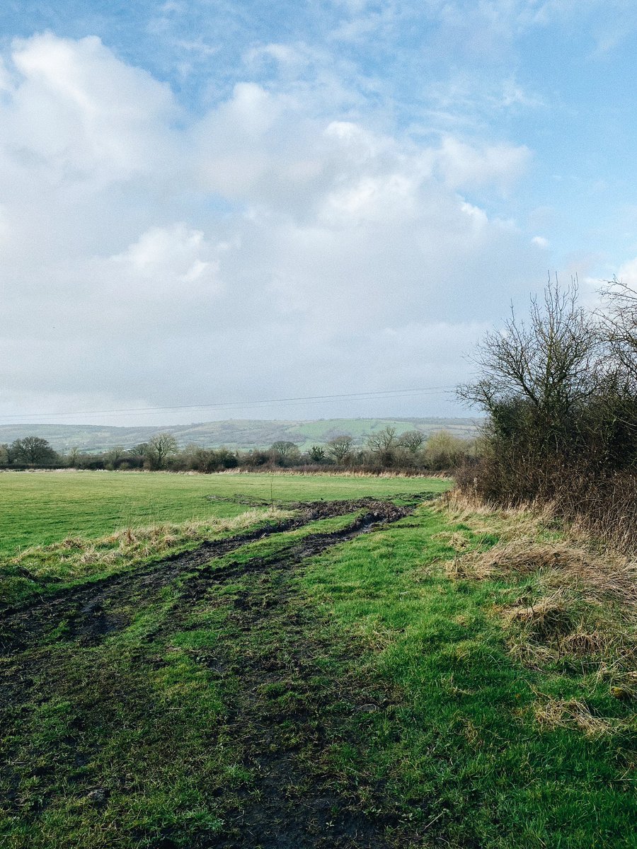 imi_read's tweet image. spent this week roaming