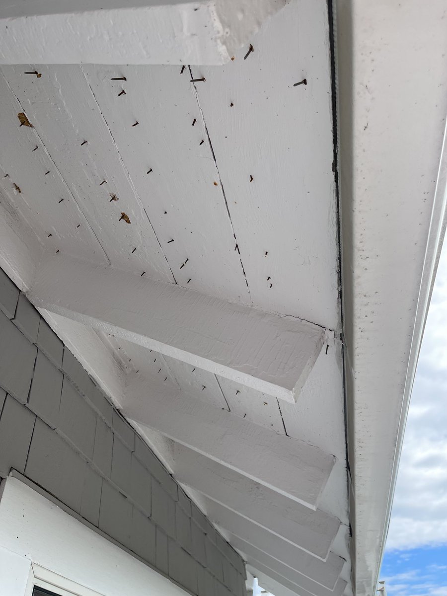 Russnyc1's tweet photo. ⁦@TeslaSolar⁩ butchered the shingles and punched nails through the exposed eaves ⁦@Tesla⁩ https://t.co/G9iHgJo0Wk