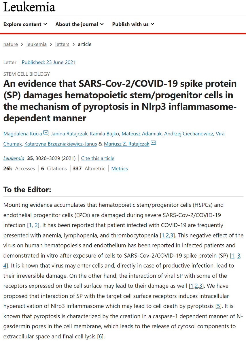 WE ARE LIVING IN A HORROR MOVIE.

Don't you dare call me a fear mongerer. This is f*ckin' serious. 

The Spike Protein NOT ONLY DAMAGES THE ENDOTHELIUM, IT ALSO DESTROYS THE CELLS THAT REPAIR IT. 

W. T. F. W. E. F!!!!!!!!!!

STOP THIS, NOW!!!!!!!!!!

nature.com/articles/s4137…