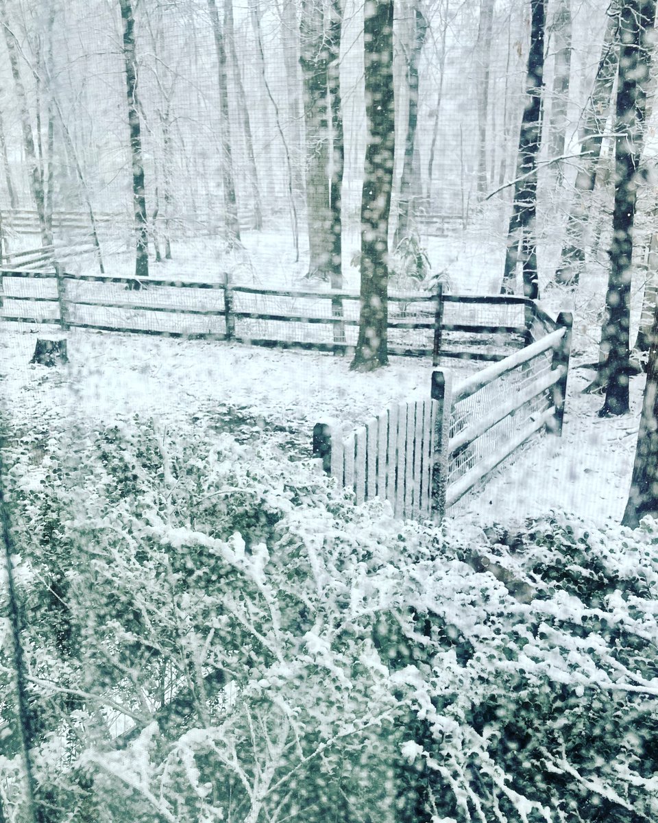 HowardCCPrez's tweet photo. Maryland, quick question.
Why? https://t.co/dUeZstCJN3