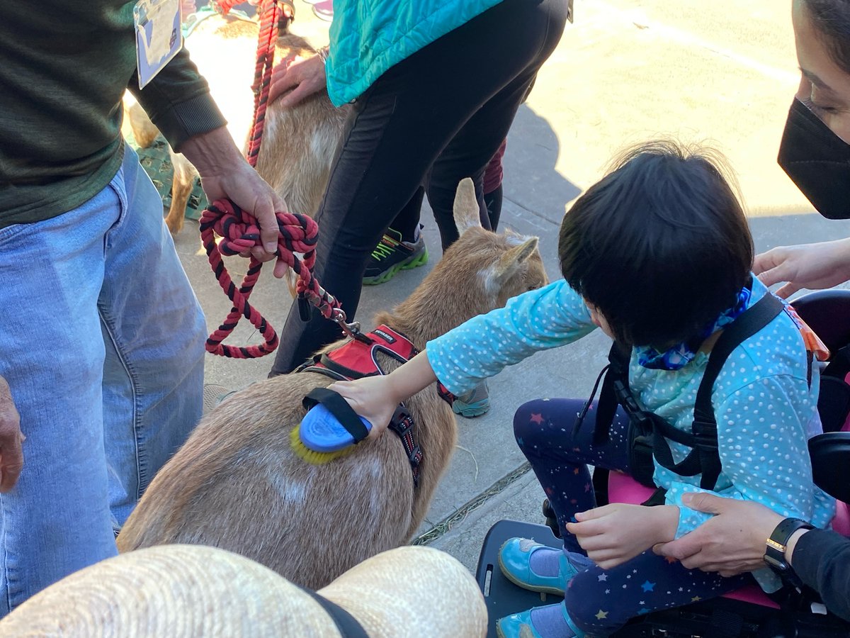 HeatherSCSD's tweet photo. Celebrating Ability Awareness Week with Jasper Ridge Farm therapy animals. Thank you SEDAC! #scsdproud https://t.co/X0O9fB8txa