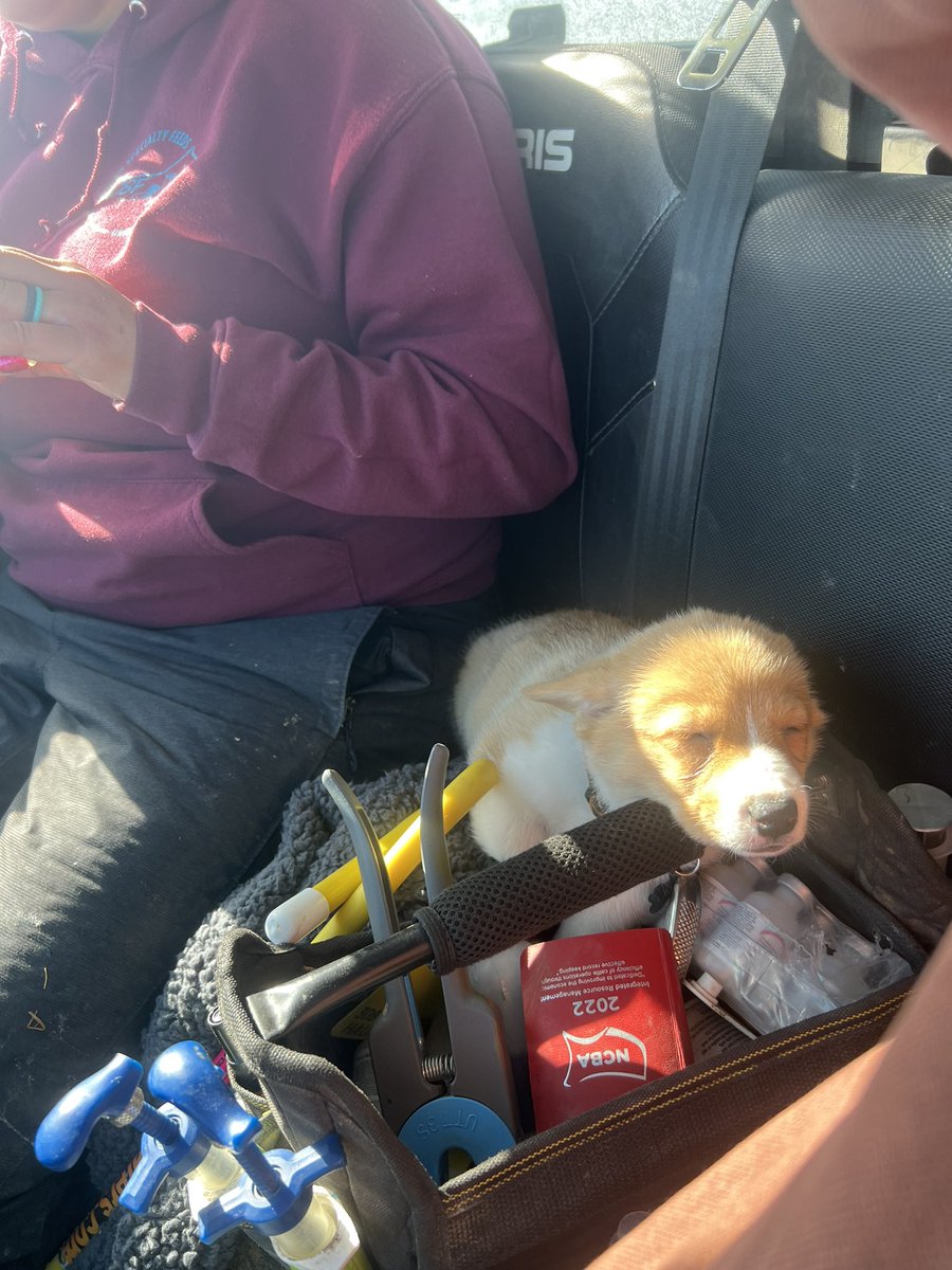 Sleeping on the job.