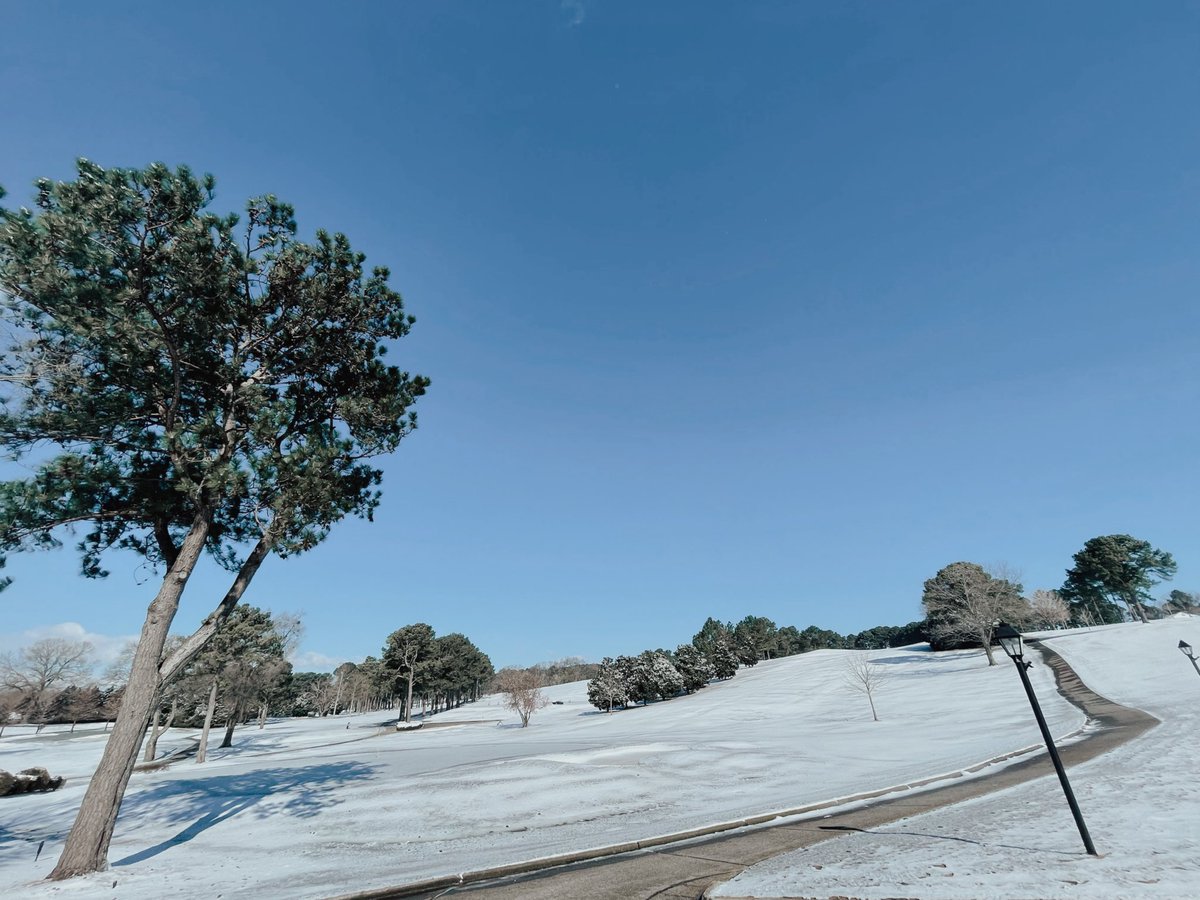 turtle_point's tweet photo. Snow or shine, our breakfast menu is offered from 10AM to 2PM today! Please call for reservations❄️ #TurtlePoint #TPYCC https://t.co/FPTBRc1ldV