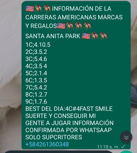 Franklinizzio's tweet photo. @AGENCIAKOKONELL
@DEnmascarado
@ARodriguezVera
@almadelhipismo 
@m_estiben 
@Angel17561 
@CaribePalma
@enriquegonzal84
@jeanmaire280285 
@EvonySolorzano
@thekingnba1980
@marrpacheco
@radiohipico1
@ELLOCOHIPICO2 https://t.co/RgfykD2SPN