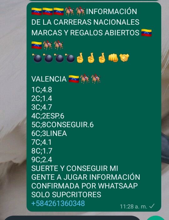 Franklinizzio's tweet photo. @AGENCIAKOKONELL
@DEnmascarado
@ARodriguezVera
@almadelhipismo 
@m_estiben 
@Angel17561 
@CaribePalma
@enriquegonzal84
@jeanmaire280285 
@EvonySolorzano
@thekingnba1980
@marrpacheco
@radiohipico1
@ELLOCOHIPICO2 https://t.co/PATXM1mn4h
