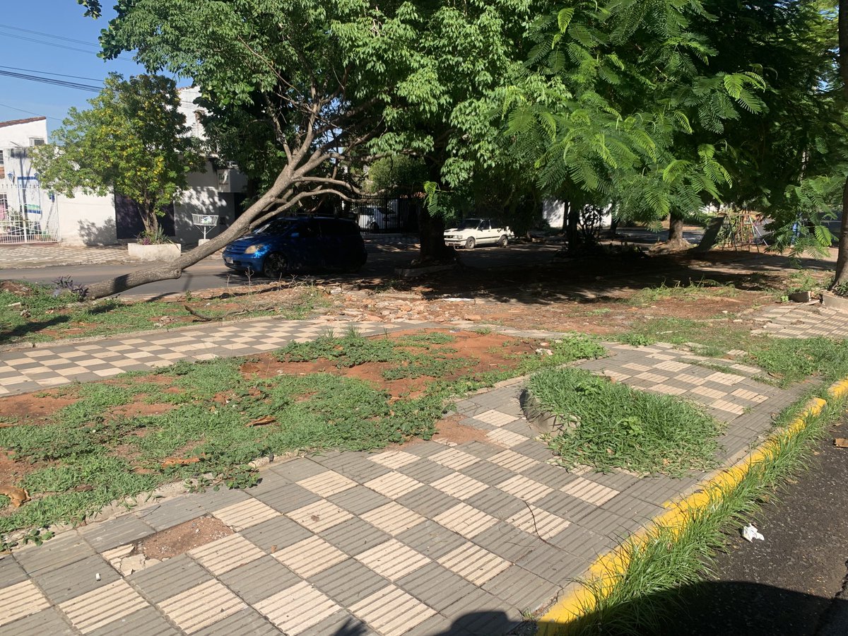 RubenMonjagata's tweet photo. Señores ⁦@AsuncionMuni, la Avenida Cerro Leon ( ex Novena Proyectadas) se encuentra en situación de abandono!! Favor hacer algo en favor del medio ambiente! https://t.co/PTuiGbOB8Y
