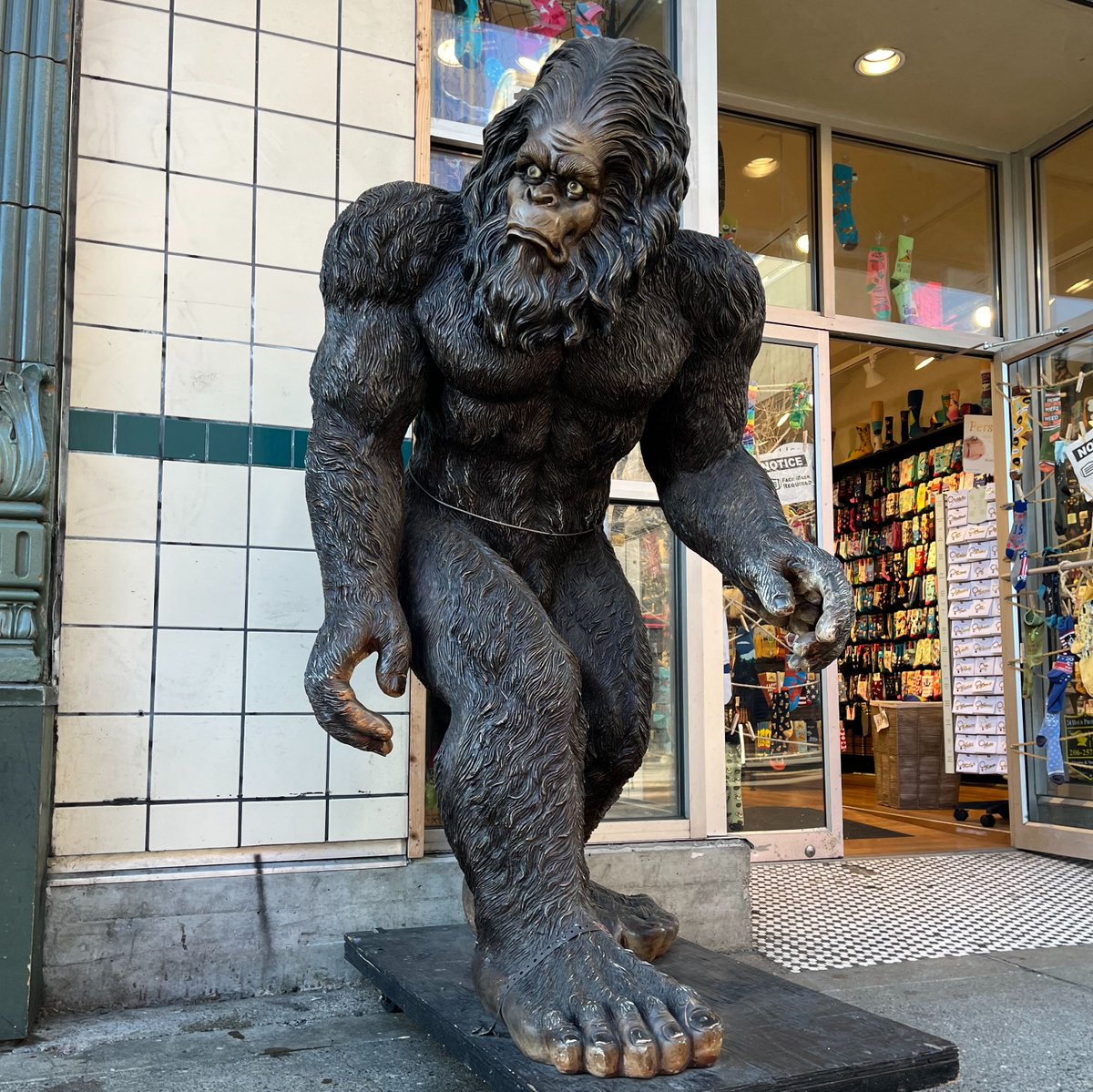 SockItToMeInc's tweet photo. Found Sasquatch this weekend in Seattle... Didn't want to be the one to capture him, so here's the photo for proof. If you look close enough, he might even look at you 👀 

#sasquatch #seattle #foundhim #puthimback #scared https://t.co/jTyMZ5zfRv