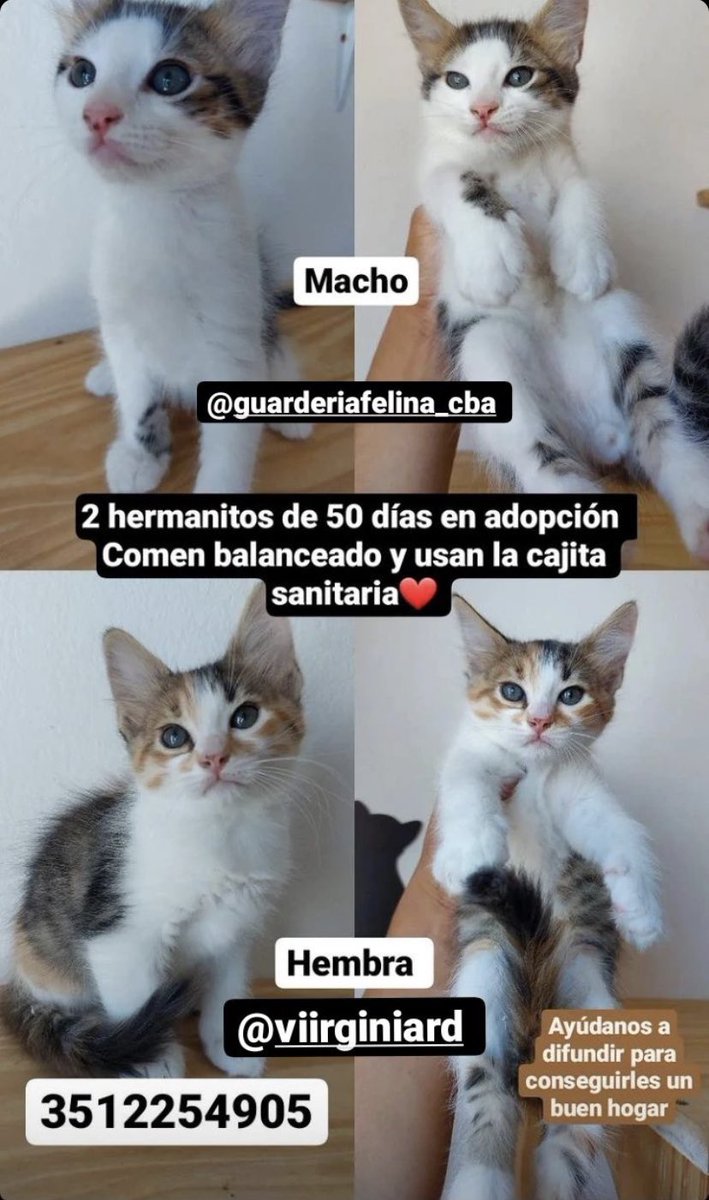 Buen finde gente!❤️ 
<a href="/VivireNuevaCba/">VivirenNuevaCórdoba®</a> <a href="/VivirEnNuevaCba/">Vivir en Nueva Cba</a> @en_guemes