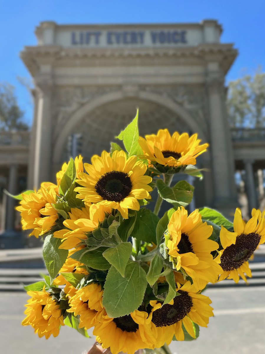 IlluminatedArts's tweet photo. The sunflowers arrived! What a gorgeous day for Ukraine benefit! Come join us in #goldengatepark at #thebandshell 12-4p. Admission is free - donate directly to @WCKitchen here https://t.co/Fn8zGbEBhT
#SF4Ukraine #LiftEveryVoice https://t.co/AcBK9Wqbov