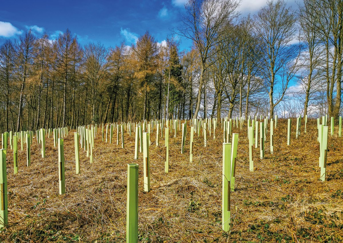 amsr_uk's tweet photo. GREEN ISSUES:THE WORLD IS HOTTING UP by #RebeccaCole.
"In  2021 largest ever survey conducted of public opinion across 50 countries, 64% of participants saw climate change as an emergency (81% in UK)." 
Click, Register, Read full chapter :
👉https://t.co/TDH9Ya8lnO👈

#Cobalt-sky https://t.co/XPN1kRLCJr