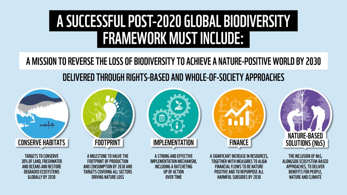 WWFCities's tweet photo. The UN biodiversity negotiations are scheduled to take place on March 14 in Geneva. 

If we want a #NaturePositive world by 2030, we need a global, coordinated commitment to reverse #BiodiversityLoss. We need a smart global biodiversity framework. https://t.co/Qy3FlBzdbP