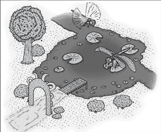 Lightheart Adventures tweet media