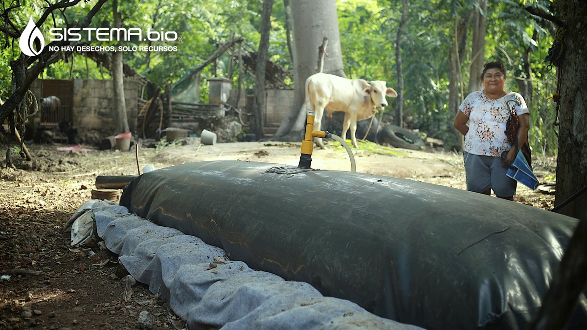 ¡En este mes de marzo te compartimos fotos de algunas de nuestras usuarias!

#MarzoMesDeLaMujer #MujerEnElCampo  #Agricultura