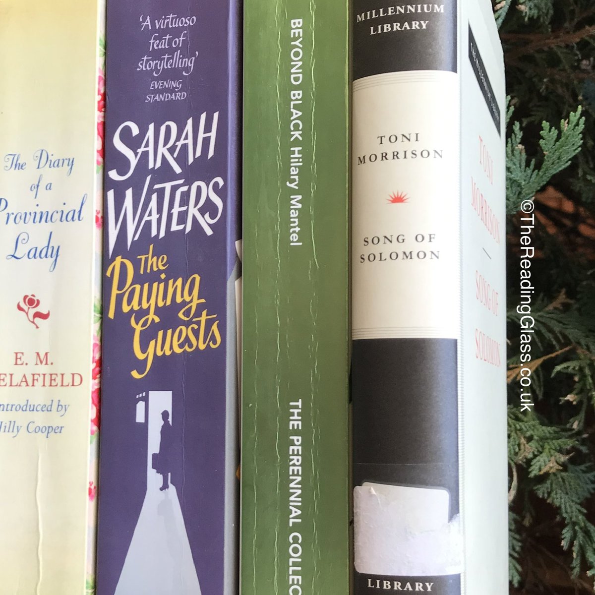 The Reading Glass - Rebecca - Somewhat Slightly tweet media