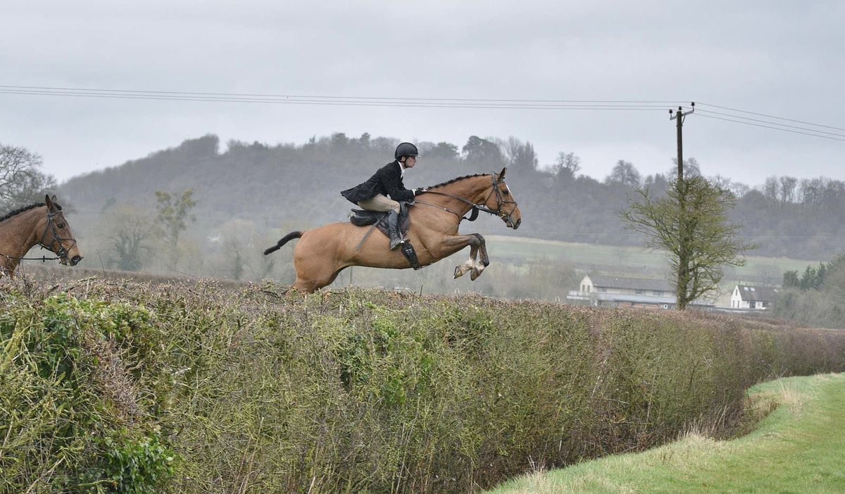 Oisín Murphy tweet media