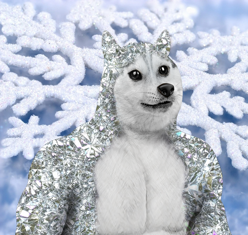 DogeVIPClub's tweet photo. Wishing World Peace a Happy Life For Everyone from all country around the word! Doge Club team is work hard for something special to you. Share it with everyone! The is the meantime, We walking forward to the future our community!
#DogeVIPClub #NFTCommunity #NFTCollection #NFTs https://t.co/jxwUmB9O77