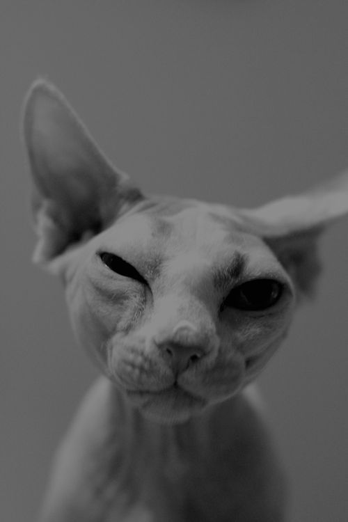 Archillect (@archillect) on Twitter photo 