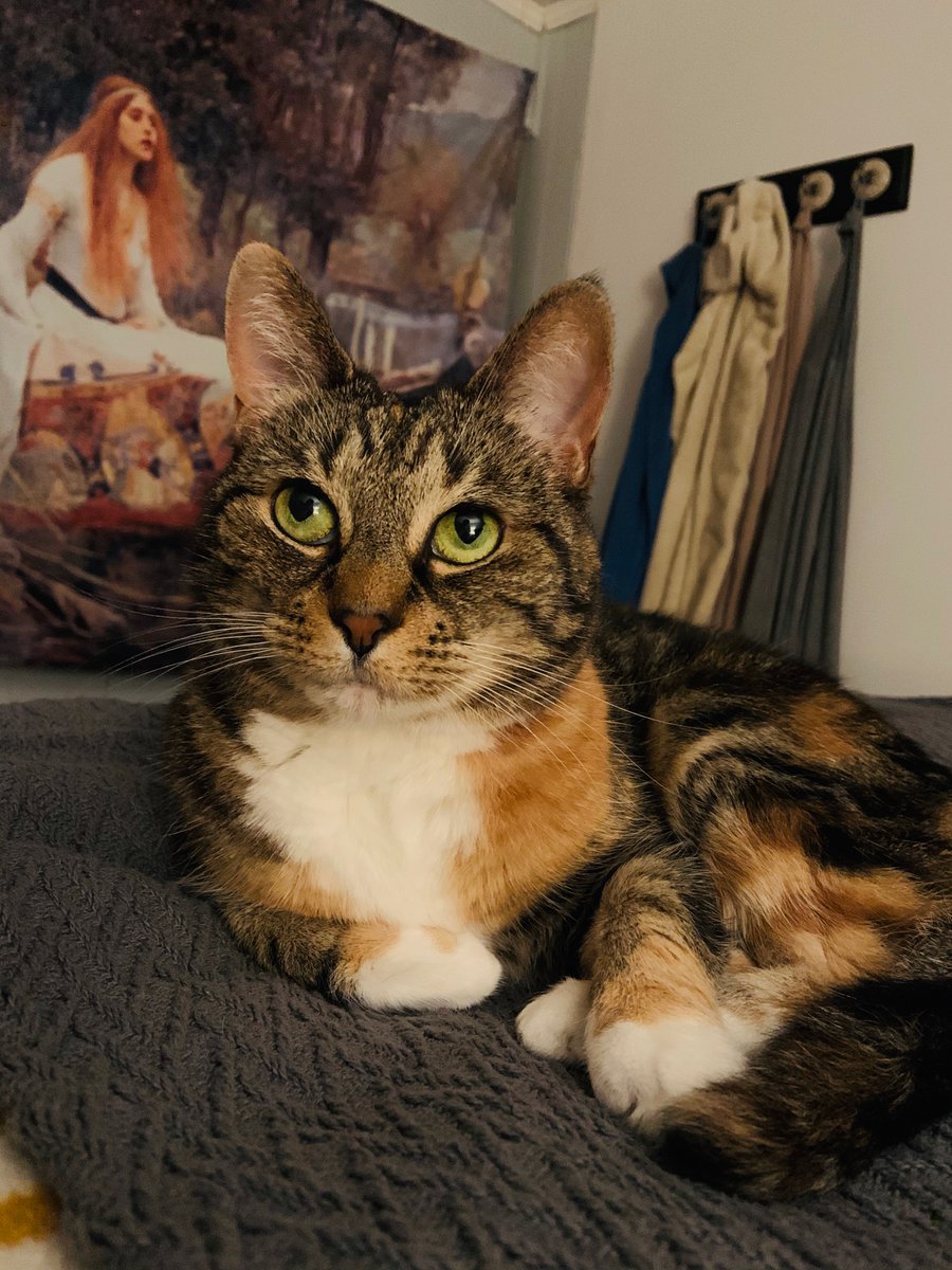 Elle White tweet media