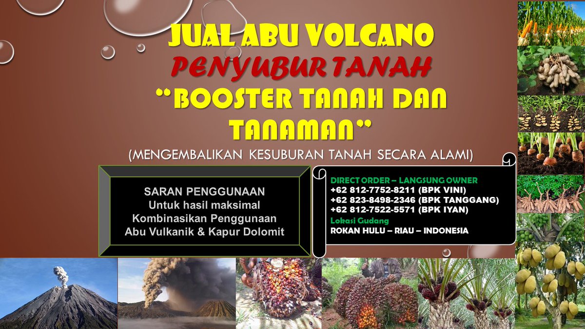 0812-7752-8211 Pusat Produksi Pupuk Sawit Abu Vulcanik Pembenah Tanah ASLI di Rokan Hulu Riau pembenahtanahasli.blogspot.com/2022/03/0812-7…
#rohul, #rokanhulu, #riau, #pupuksawit, #pembenahtanah, #pembenahtanahsawit, #jualabuvulkanik, #abuvolcano, #abuvulkanik, #rabuk, #pupuk,  #pupukorganik, #sawit