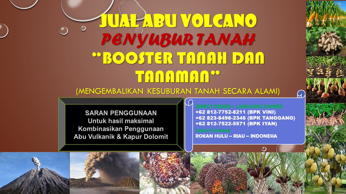 0812-7752-8211 Pusat Produksi Pupuk Sawit Abu Vulcanik Pembenah Tanah ASLI di Rokan Hulu Riau pembenahtanahasli.blogspot.com
#rohul, #rokanhulu, #riau, #pupuksawit, #pembenahtanah, #pembenahtanahsawit, #jualabuvulkanik, #abuvolcano, #abuvulkanik, #rabuk, #pupuk,  #pupukorganik, #sawit