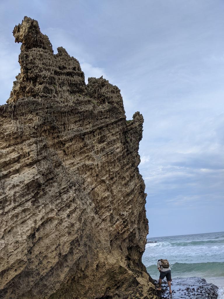 BioNept's tweet photo. First South African #intertidal site for @LoreCozzolino. Many more to come.

@KatyNicastro @ZardiGerardo @LaurentSeuront @CienciasDoMar @r2c2_ccmar #phdlife @Rhodes_Uni #fieldwork https://t.co/fOr3KmxgBr