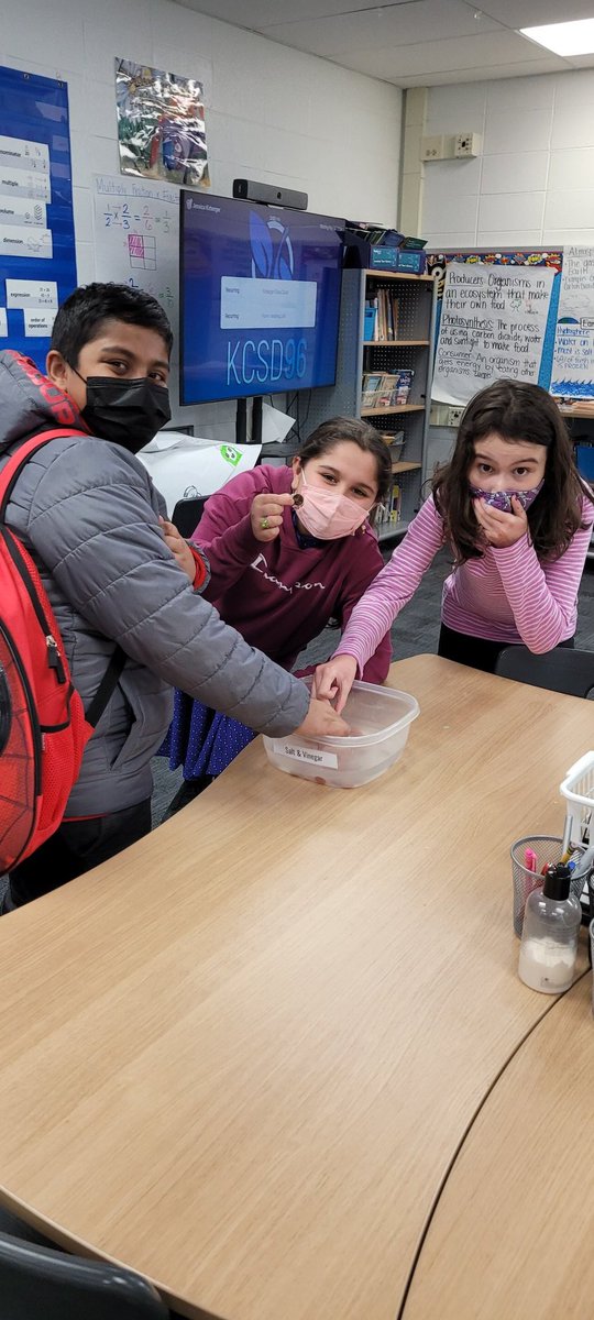 JMKirberger's tweet photo. We ended our week with a science experiment, related to our matter unit, to see what solution will clean a dirty penny! As we continue investigating next week we will determine WHY salt and vinegar cleaned our pennies! 🪙 #MysteryScience #inspire96 https://t.co/MsRpLLYlvX
