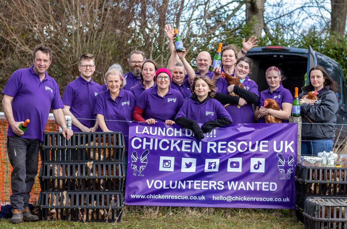 Congratulations to today's farm team who have officially launched our first rescue. We are so excited to get started, offering new hope and a new life to retired egg-producing chickens from around the country. 
#chickenrescueuk #chickenrescue #rehomingchickens #rescuechickens