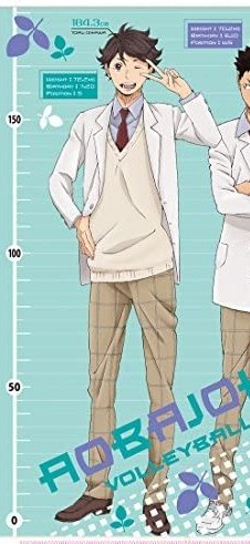 sya_pandora ハイキューの及川徹をお願いしたいです🙏 画質が荒いの