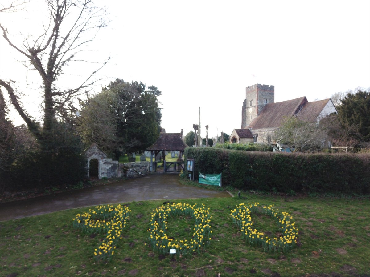 ighthamchurch's tweet image. A drone's eye-view of our 900 daffodils celebrating the start of our nonacentenary celebrations - people have worshipped here for 900 years! 
Thanks to Greenacres Garden Centre for donating the daffodil bulbs and Friends of St Peter's for planting them! 
@SeeOfRochester